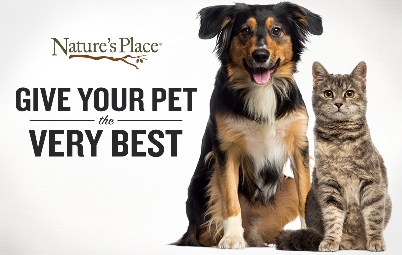 Give Your Pet The Very Best