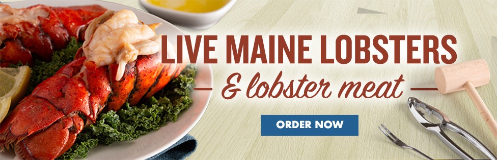 Live main Lobsters and Lobster meat, Plated Lobster, fork, cracker, hammer, wood table top