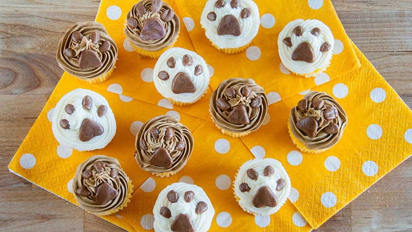 Puppy Cupcakes