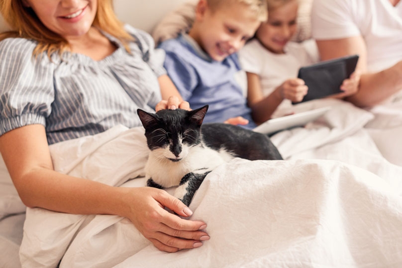 Quality time with the pet cat and the family on the couch