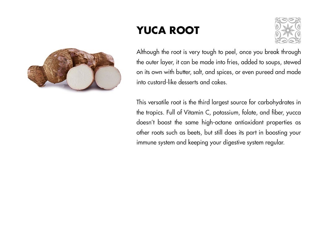 Yucca Root