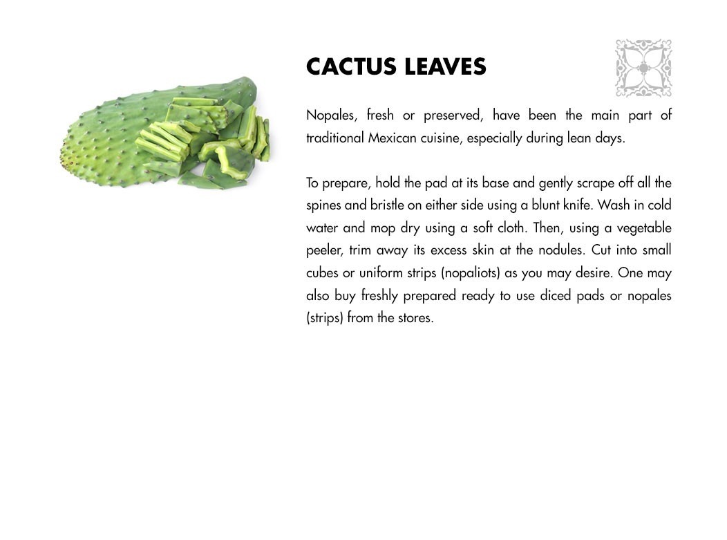 Cactus Leaves